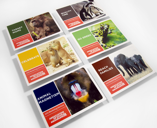 Comella Design Group | AZA Postcards