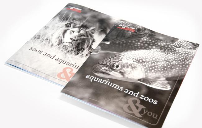 Comella Design Group | AZA Capital Hill Publication